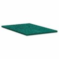 Cool Kitchen BWK186 Heavy-Duty Scour Pad, Green CO1727287